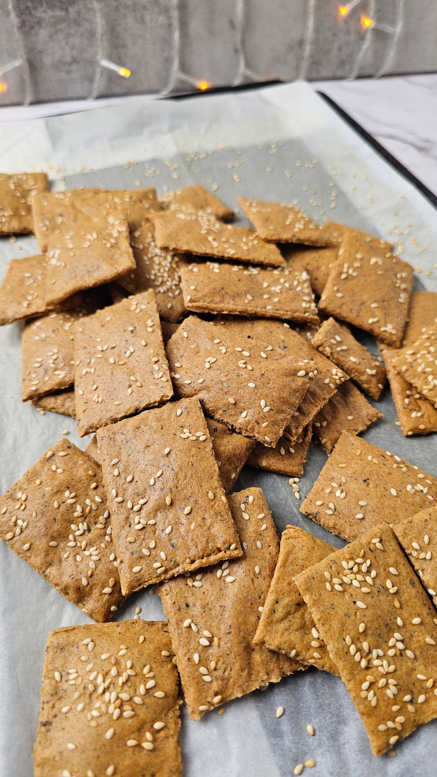 Oats Millet Crackers